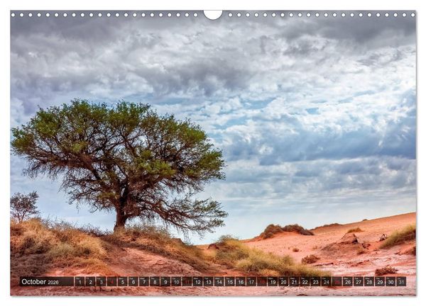 Produktbild: Namibia - Colours and Light (Wall Calendar 2026 DIN A3 landscape), CALVENDO 12 Month Wall Calendar