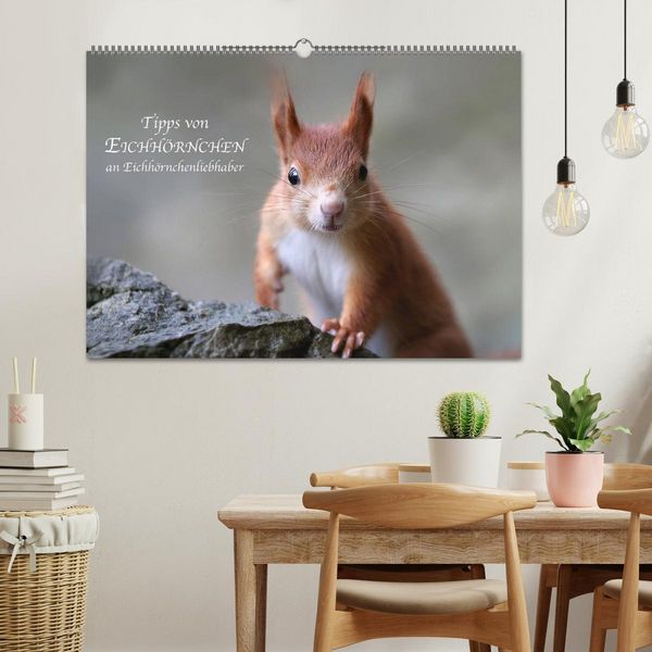 Produktbild: Tipps von Eichh&ouml;rnchen an Eichh&ouml;rnchenliebhaber (Wandkalender 2026 DIN A2 quer), CALVENDO Monatskalender