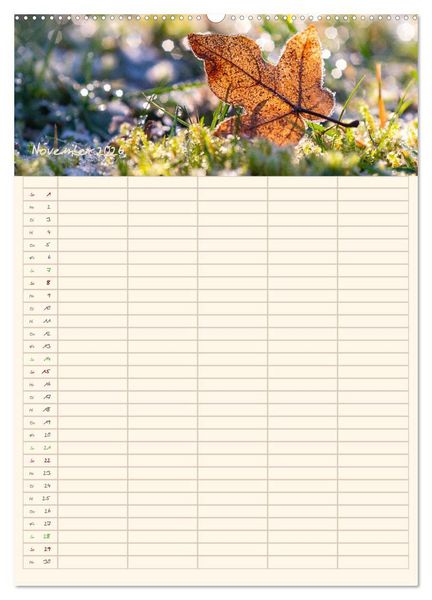 Produktbild: Mit Blick in den Garten (Wandkalender 2026 DIN A2 hoch), CALVENDO Monatskalender