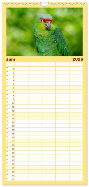 Produktbild: Familienplaner 2026 - Die bunte Welt der V&ouml;gel mit 5 Spalten (Wandkalender, 21 x 45 cm) CALVENDO