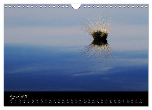 Produktbild: Im Goldenstedter Moor (Wandkalender 2026 DIN A4 quer), CALVENDO Monatskalender