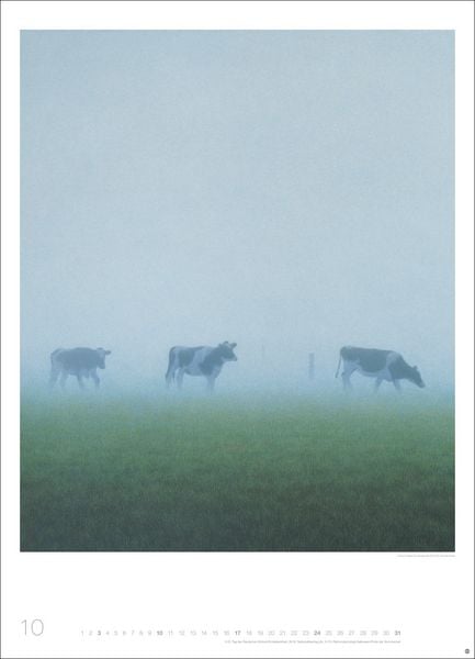 Produktbild: Quint Buchholz: Augenblicke Kalender 2027