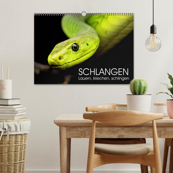 Produktbild: Schlangen. Lauern, kriechen, schlingen (Wandkalender 2026 DIN A3 quer), CALVENDO Monatskalender