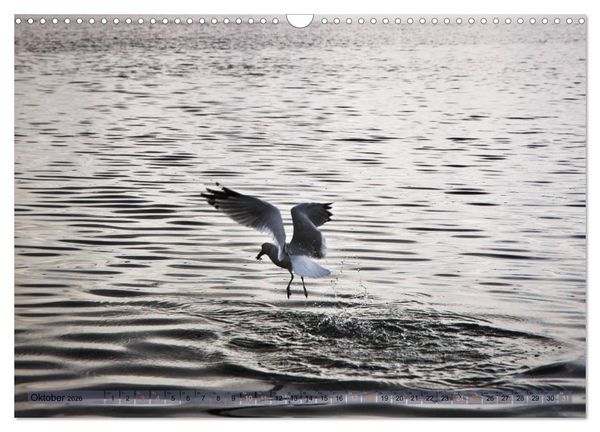 Produktbild: Kanada - short visit (Wandkalender 2026 DIN A3 quer), CALVENDO Monatskalender