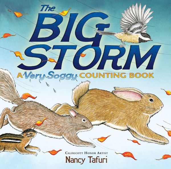 Produktbild: The Big Storm