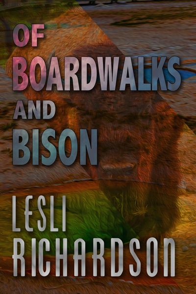 Produktbild: Of Boardwalks and Bison