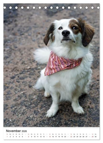 Produktbild: Hundefreunde (Tischkalender 2026 DIN A5 hoch), CALVENDO Monatskalender