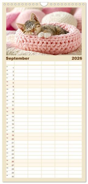Produktbild: Familienplaner 2026 - GUTE NACHT - Schlafende Tiere, traumhaft sch&ouml;n mit 5 Spalten (Wandkalender, 21 x 45 cm) CALVENDO