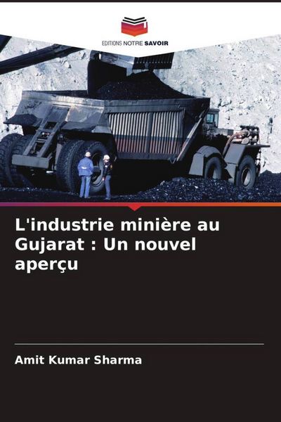 Produktbild: L'industrie mini&egrave;re au Gujarat : Un nouvel aper&ccedil;u
