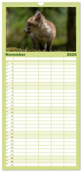 Produktbild: Familienplaner 2026 - Bei den Jungf&uuml;chsen mit 5 Spalten (Wandkalender, 21 x 45 cm) CALVENDO