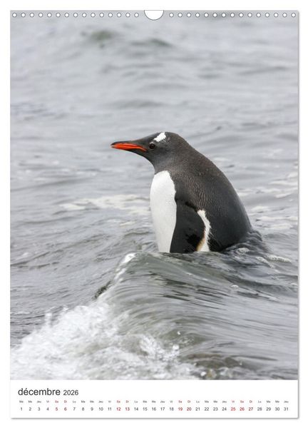 Produktbild: Antarctique des oiseaux de l&eacute;gende (Calendrier mural 2026 DIN A3 horizontal), CALVENDO calendrier mensuel