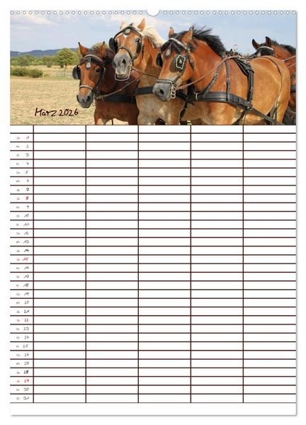 Produktbild: Der Kaltblut-Familienplaner (Wandkalender 2026 DIN A2 hoch), CALVENDO Monatskalender