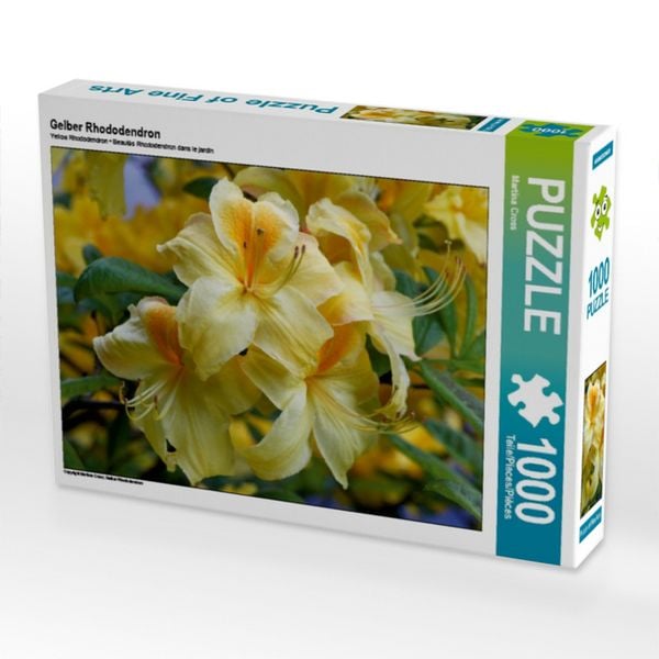 Produktbild: CALVENDO Puzzle Gelber Rhododendron | 1000 Teile Lege-Gr&ouml;&szlig;e 64x48cm Foto-Puzzle f&uuml;r gl&uuml;ckliche Stunden