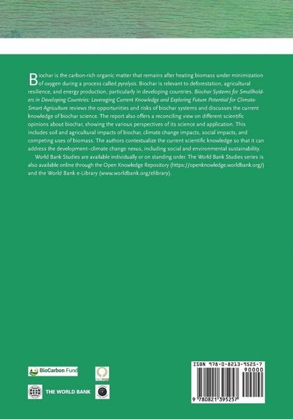 Produktbild: Biochar Systems for Smallholders in Developing Countries