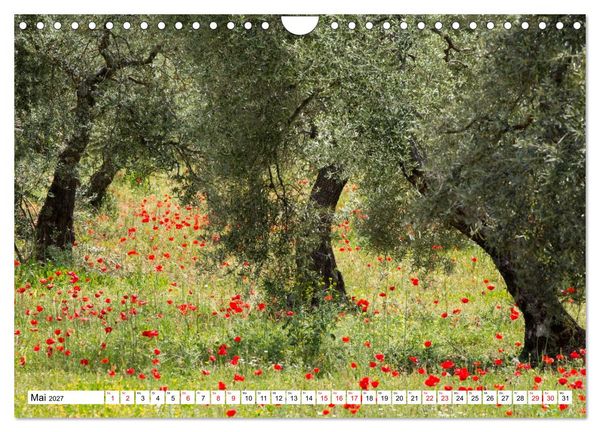 Produktbild: Momente einer Reise - Andalusien (Wandkalender 2027 DIN A4 quer), CALVENDO Monatskalender