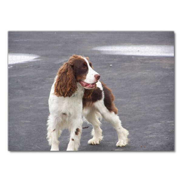 Produktbild: Lais Puzzle English Springer Spaniel 1000 Teile