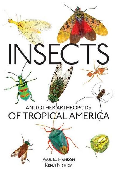 Produktbild: Insects and Other Arthropods of Tropical America