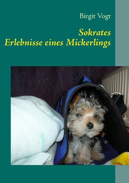 Produktbild: Sokrates