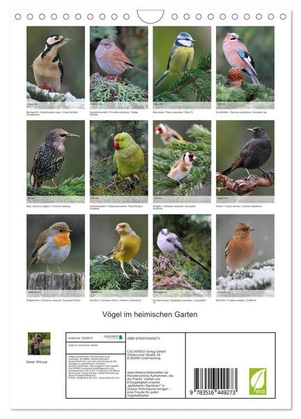 Produktbild: V&ouml;gel im heimischen Garten (Wandkalender 2026 DIN A4 hoch), CALVENDO Monatskalender