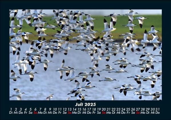 Produktbild: Nordsee 2025 Fotokalender DIN A5