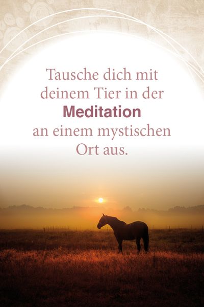 Produktbild: Mit Tieren kommunizieren
