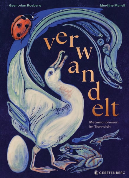Produktbild: Verwandelt