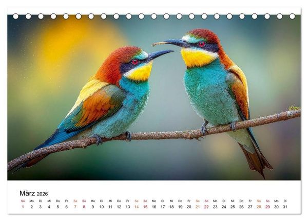 Produktbild: Bienenfresser - im Flug der Farben (Tischkalender 2026 DIN A5 quer), CALVENDO Monatskalender