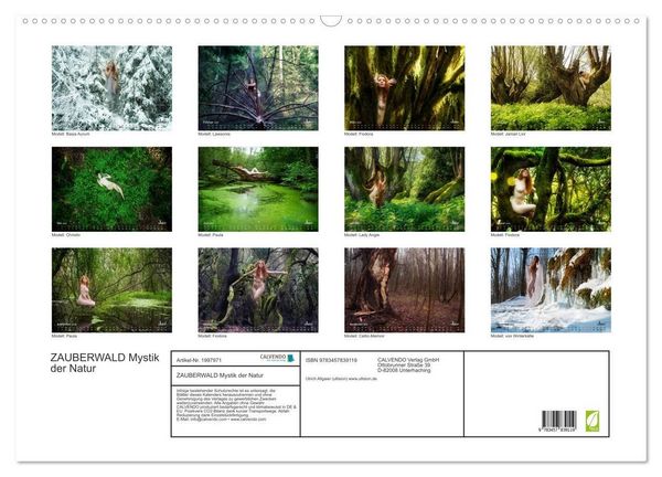 Produktbild: ZAUBERWALD Mystik der Natur (Wandkalender 2026 DIN A2 quer), CALVENDO Monatskalender
