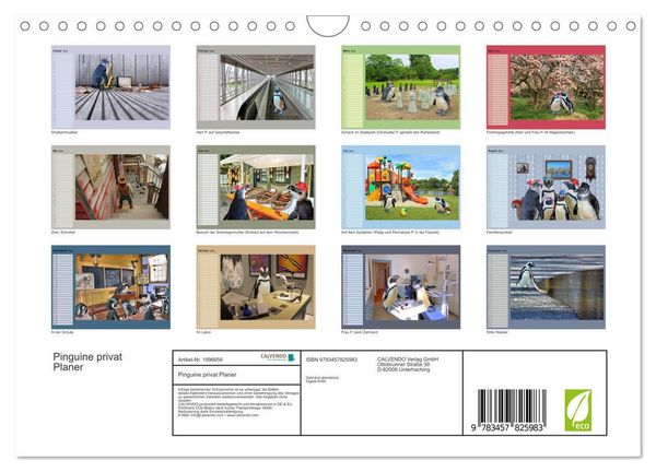 Produktbild: Pinguine privat Planer (Wandkalender 2026 DIN A4 quer), CALVENDO Monatskalender