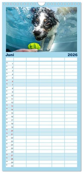 Produktbild: Familienplaner 2026 - H&uuml;tehunde - H&uuml;ter der Herzen mit 5 Spalten (Wandkalender, 21 x 45 cm) CALVENDO