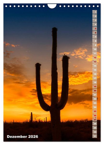 Produktbild: SAGUARO NATIONAL PARK W&uuml;stenimpressionen aus Arizona (Wandkalender 2026 DIN A4 hoch), CALVENDO Monatskalender
