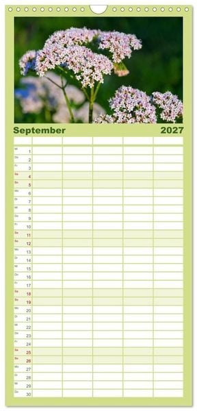 Produktbild: Familienplaner 2027 - Arzneipflanzen mit 5 Spalten (Wandkalender, 21 x 45 cm) CALVENDO