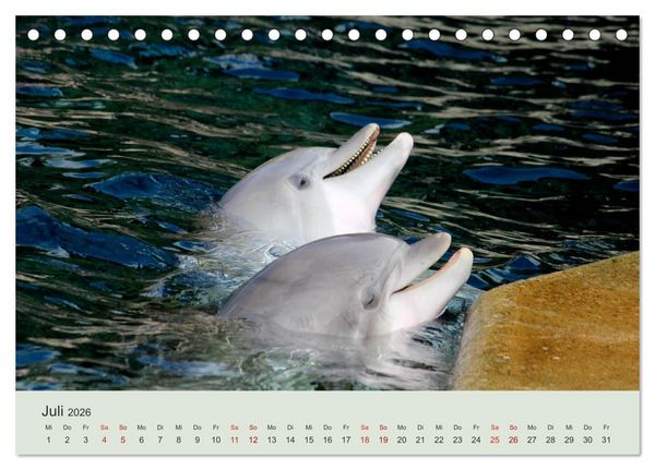 Produktbild: Die Welt der Delphine (Tischkalender 2026 DIN A5 quer), CALVENDO Monatskalender