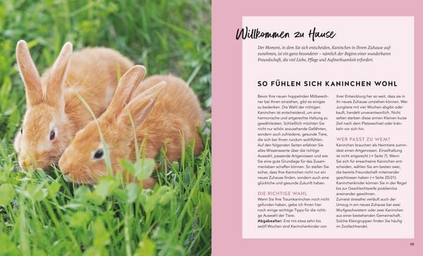 Produktbild: Kaninchen im Au&szlig;engehege