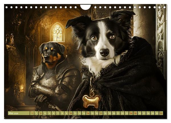 Produktbild: Pfoten Magie (Wandkalender 2026 DIN A4 quer), CALVENDO Monatskalender