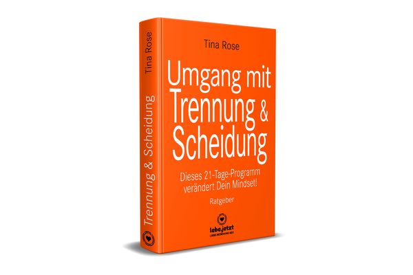 Produktbild: Umgang mit Trennung und Scheidung | Ratgeber