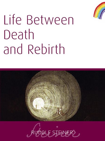 Produktbild: Life Between Death and Rebirth