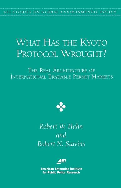 Produktbild: What has the KYOTO PROCTOCOL Wrought?