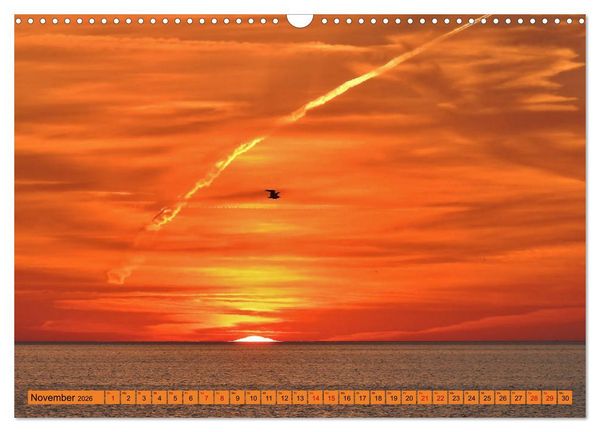 Produktbild: Eckernf&ouml;rde. Eichh&ouml;rnchen im Wappen - das Meer vor der T&uuml;r (Wandkalender 2026 DIN A3 quer), CALVENDO Monatskalender