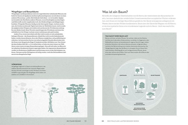 Produktbild: Atlas der W&auml;lder