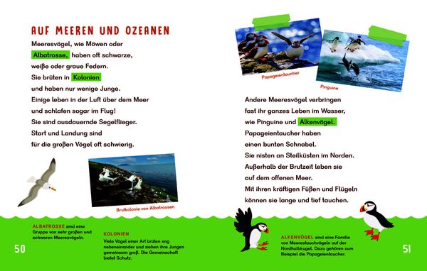 Produktbild: Dein Lesestart - V&ouml;gel