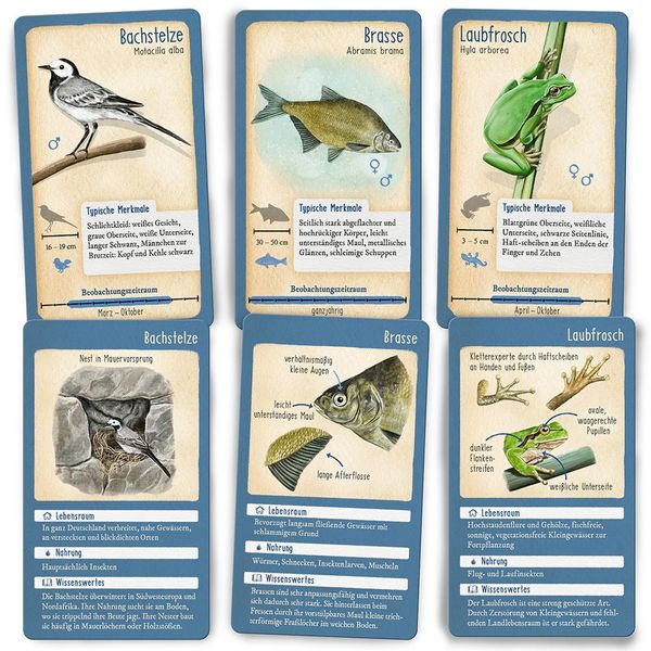 Produktbild: Tour durch die Natur - 50 heimische Tiere am Wasser