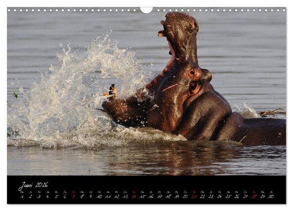Produktbild: S&uuml;dafrika (Wandkalender 2026 DIN A3 quer), CALVENDO Monatskalender