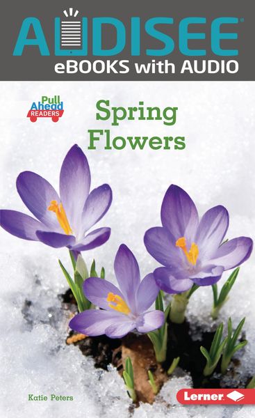 Produktbild: Spring Flowers