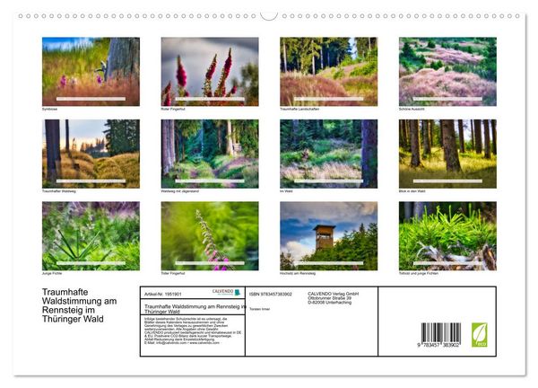 Produktbild: Traumhafte Waldstimmung am Rennsteig im Th&uuml;ringer Wald (hochwertiger Premium Wandkalender 2026 DIN A2 quer), Kunstdruck in Hochglanz