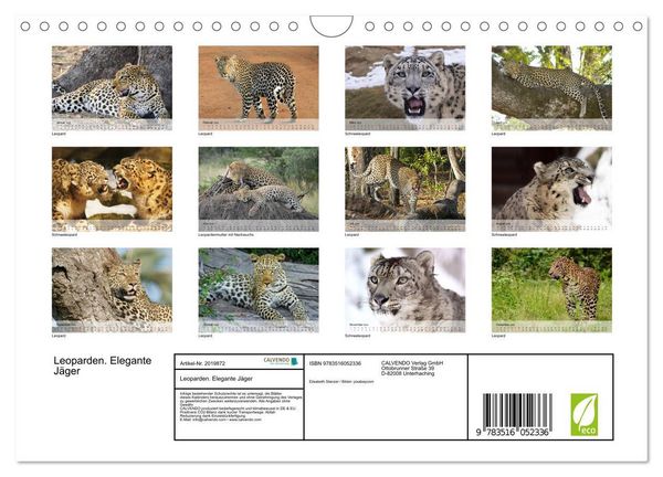 Produktbild: Leoparden. Elegante J&auml;ger (Wandkalender 2026 DIN A4 quer), CALVENDO Monatskalender