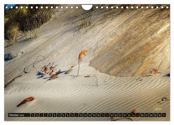 Produktbild: Nordsee-D&uuml;nen (Wandkalender 2026 DIN A4 quer), CALVENDO Monatskalender