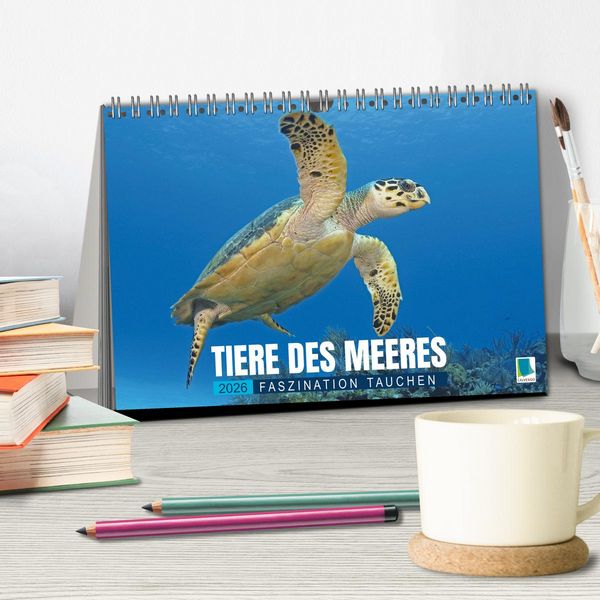 Produktbild: Tiere des Meeres: Faszination Tauchen (Tischkalender 2026 DIN A5 quer), CALVENDO Monatskalender