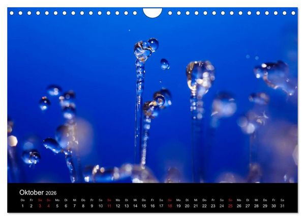 Produktbild: Wassertropfen (Wandkalender 2026 DIN A4 quer), CALVENDO Monatskalender