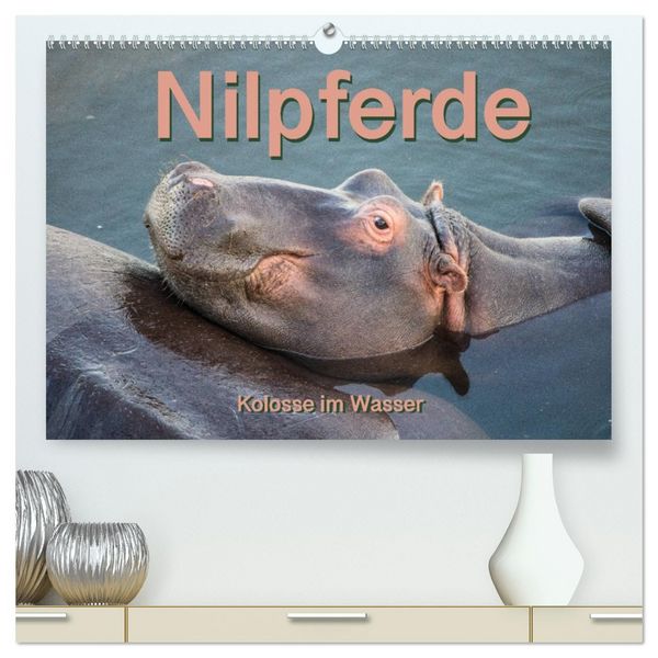 Produktbild: Nilpferde, Kolosse im Wasser (hochwertiger Premium Wandkalender 2026 DIN A2 quer), Kunstdruck in Hochglanz